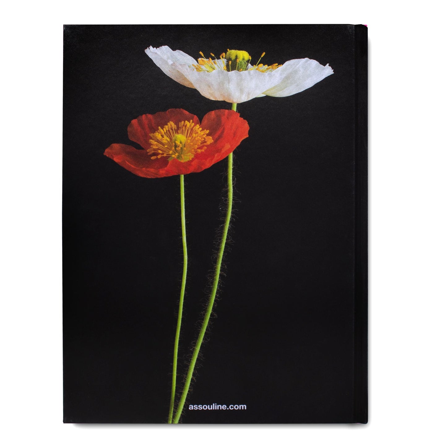 Flowers Art & Bouquets - Book